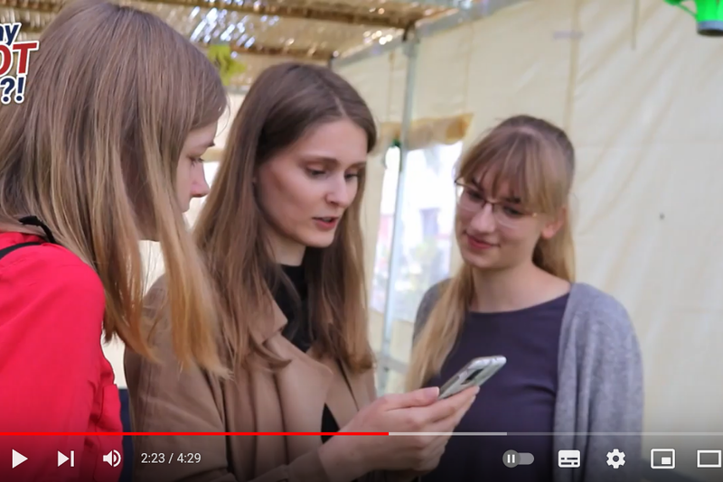 Drei junge Frauen schauen auf ein Handy